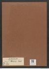 Eunotia corona Rabh. (de-Toni-Nr.: Genus 104, Species 3188) Zeichnungen Sammlung Grunow Mappe 03427 (Herbarium_W_Grunow_drawings_Folder_03427)